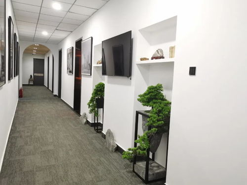 酒店設計 工裝設計 建筑裝飾工程智能化設計所